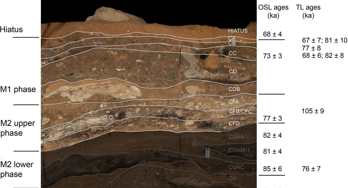 Stratigraphie de la grotte de Blombos