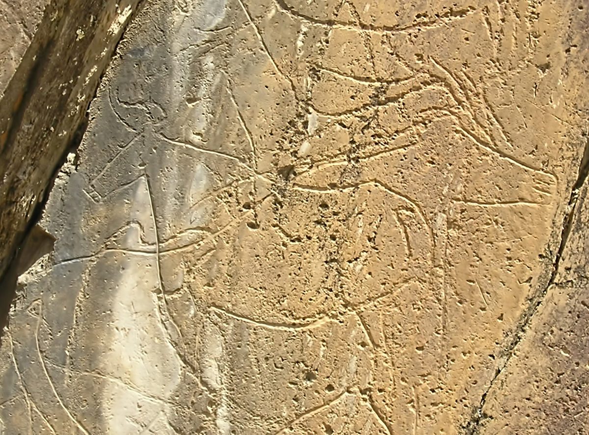 Gravures de la vallée du Côa, Portugal