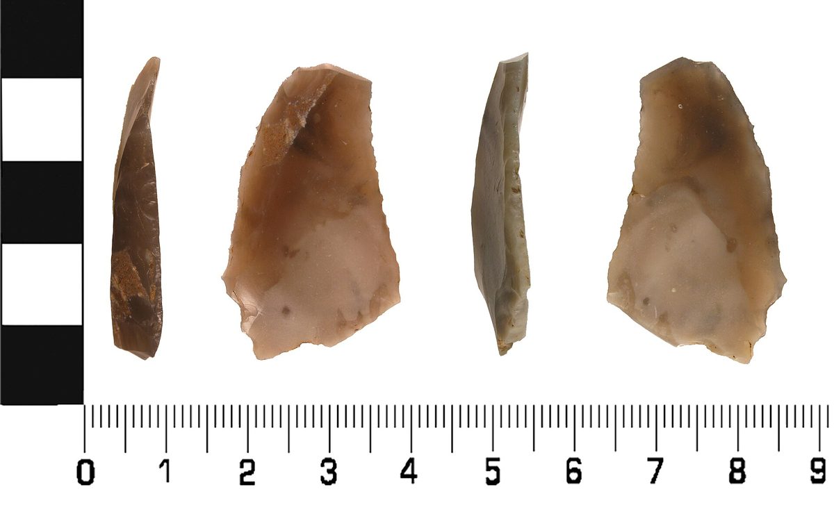 Éléments de faucille en silex