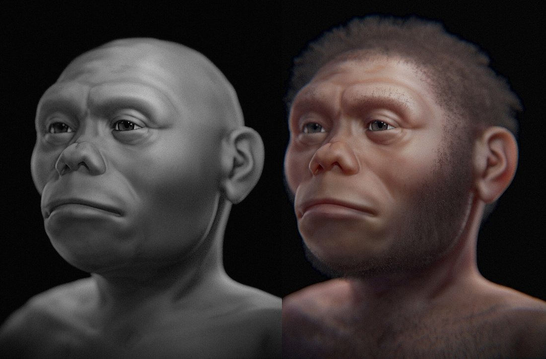Reconstitution d’Homo floresiensis