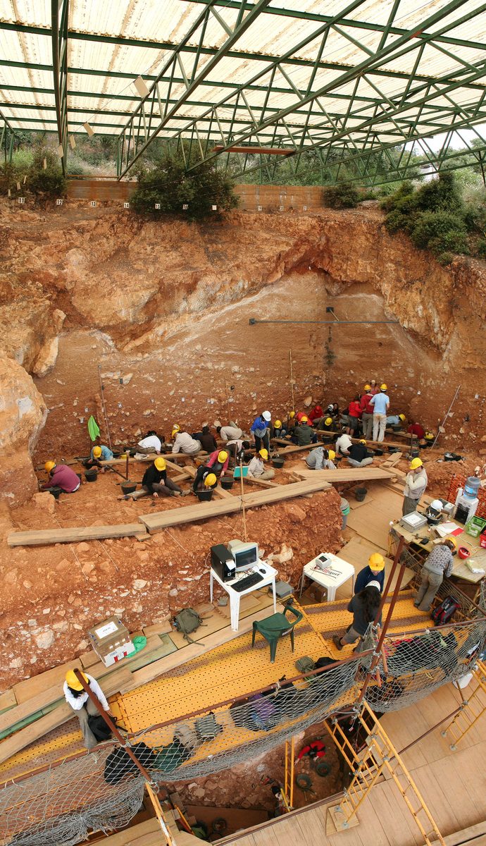 Gran Dolina, Atapuerca