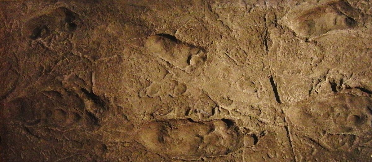 Empreintes de Laetoli