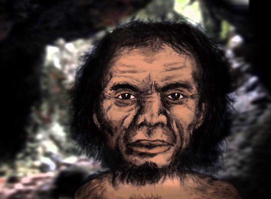 Reconstitution d’Homo luzonensis