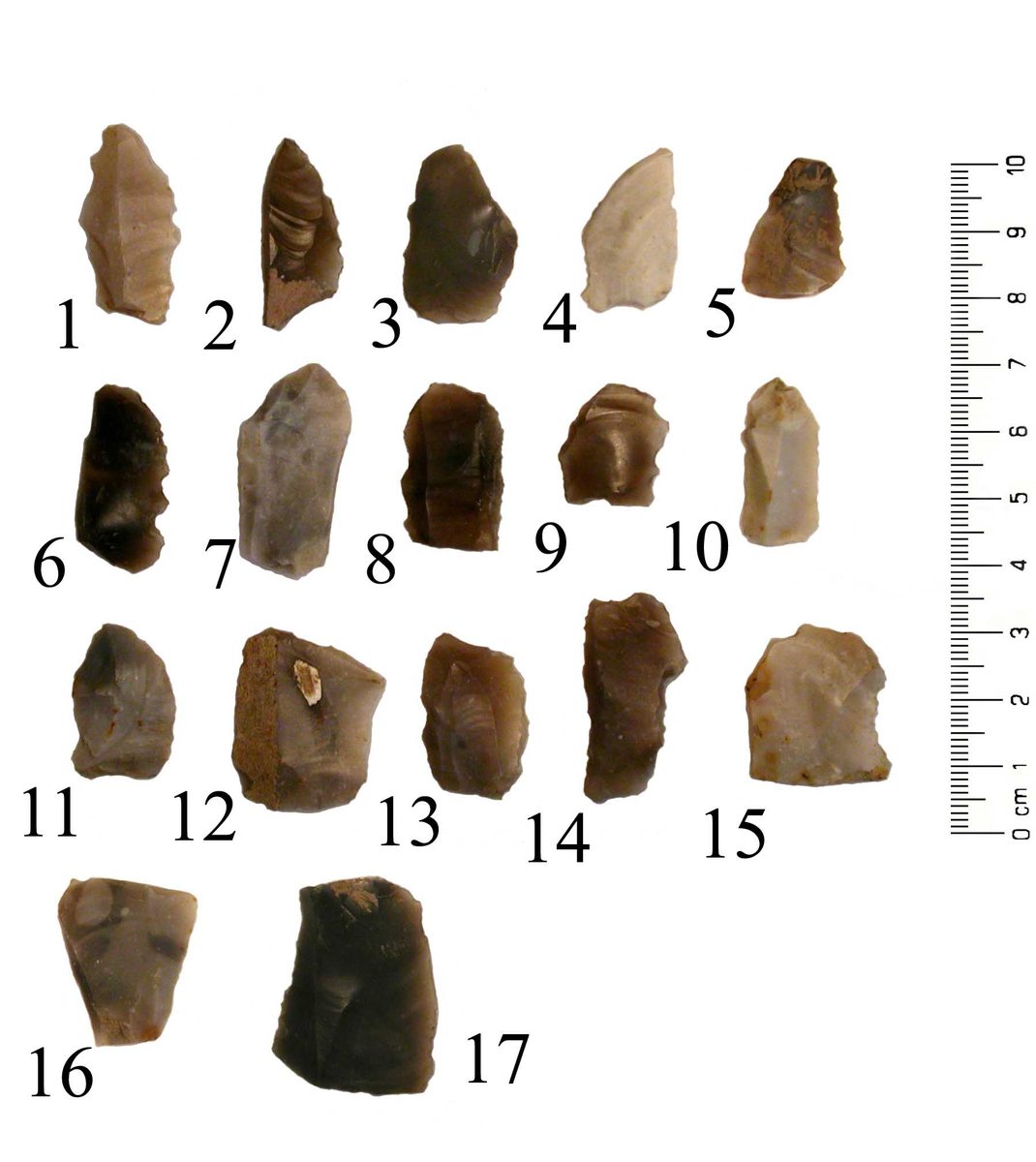 Microlithes mésolithiques