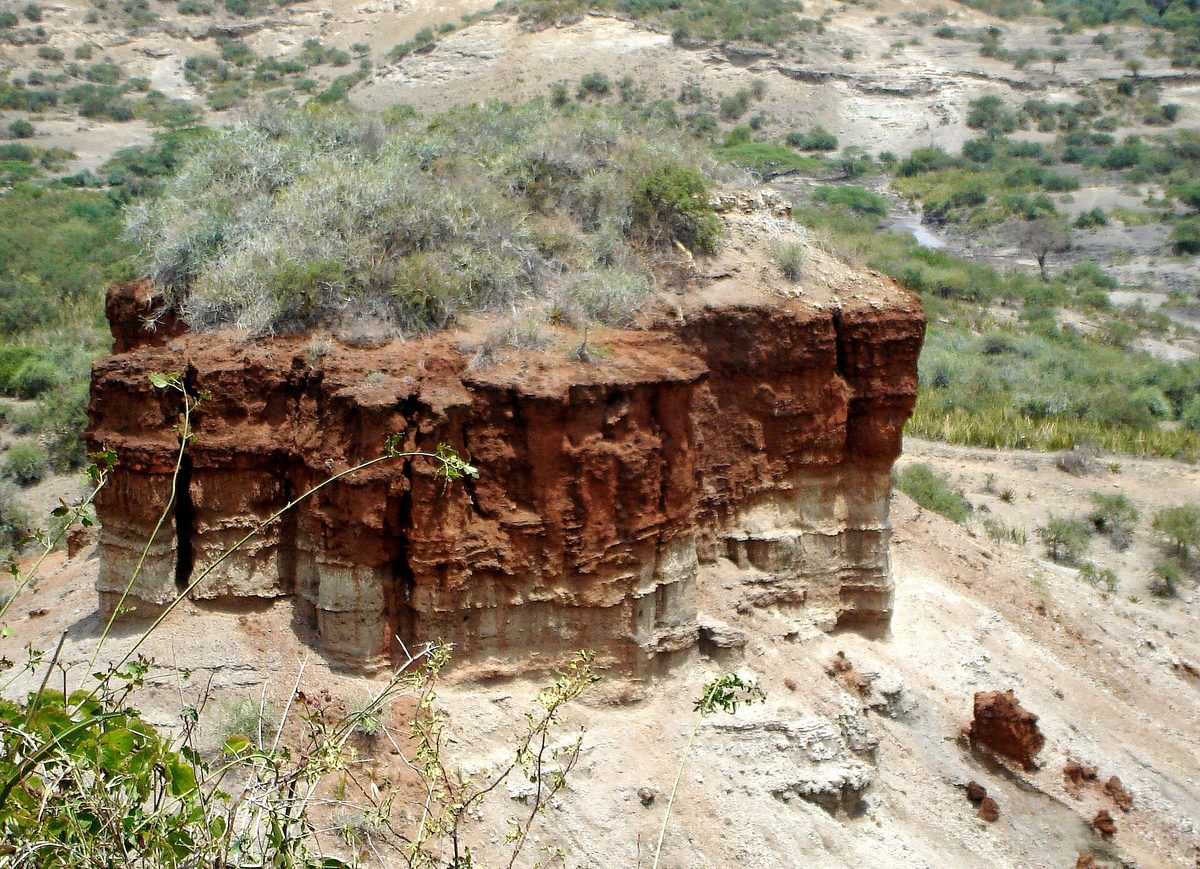 Gorges d’Olduvai, Tanzanie