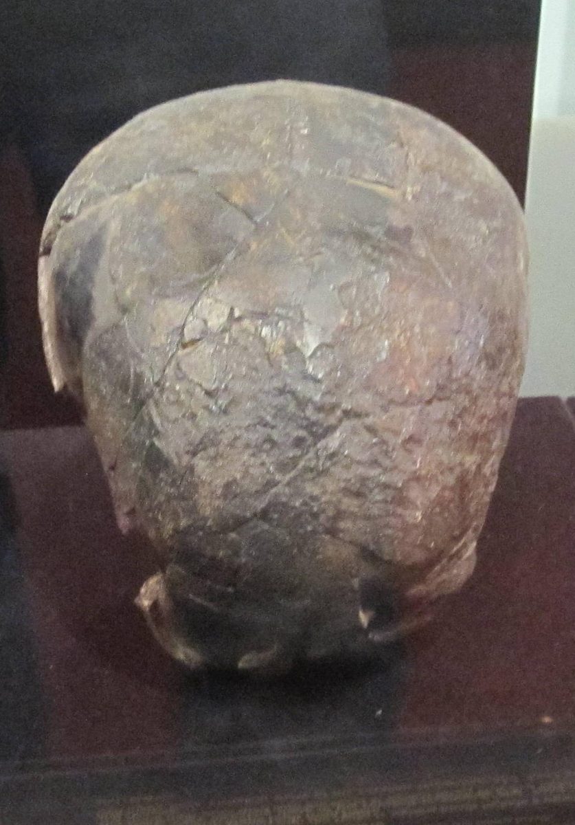 Crâne Omo II, Éthiopie