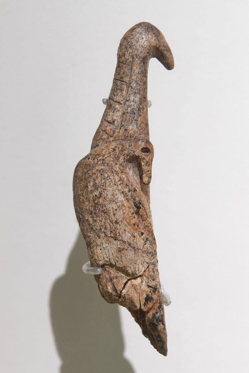 Propulseur à l’oiseau