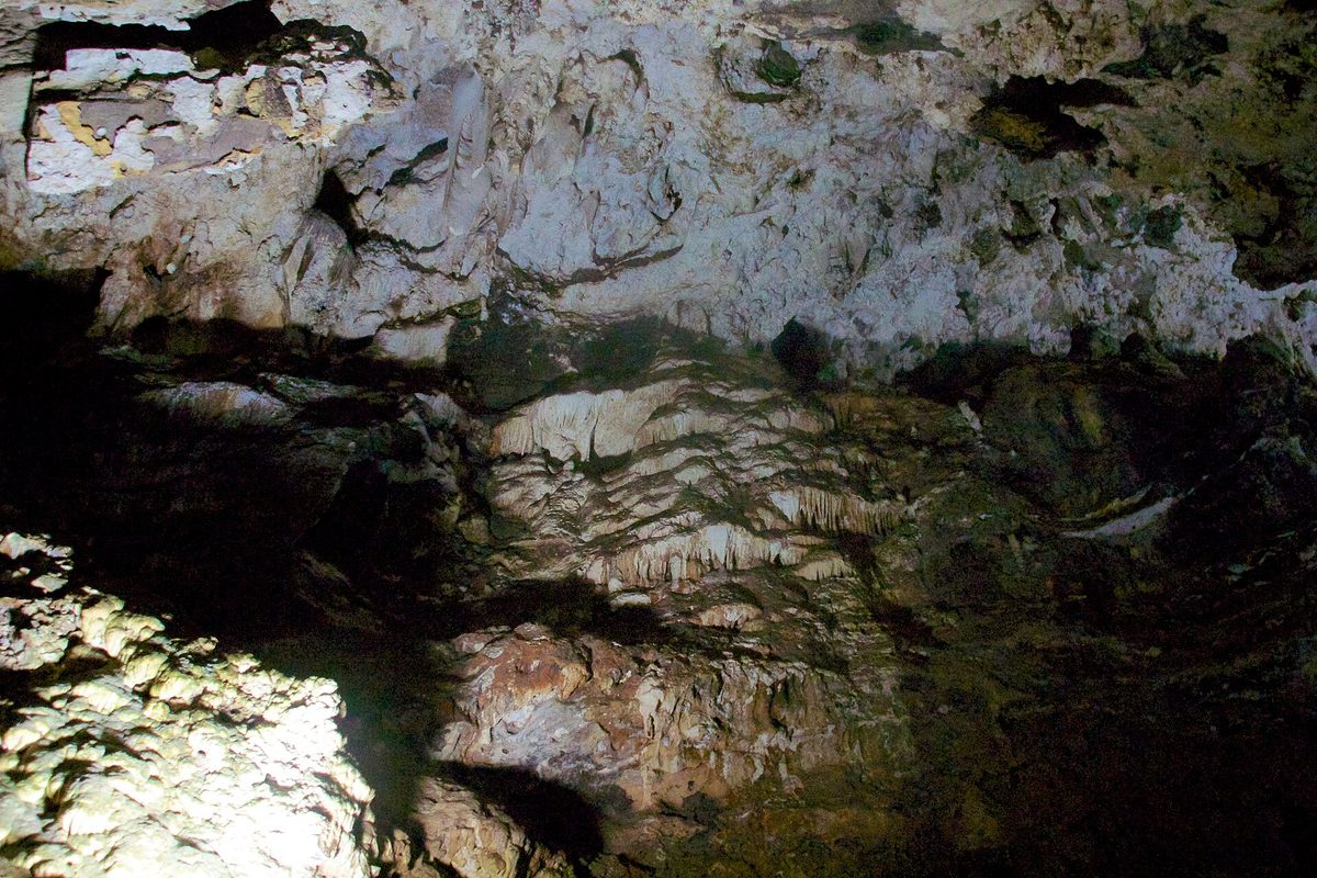 Grottes de Sterkfontein, Afrique du Sud