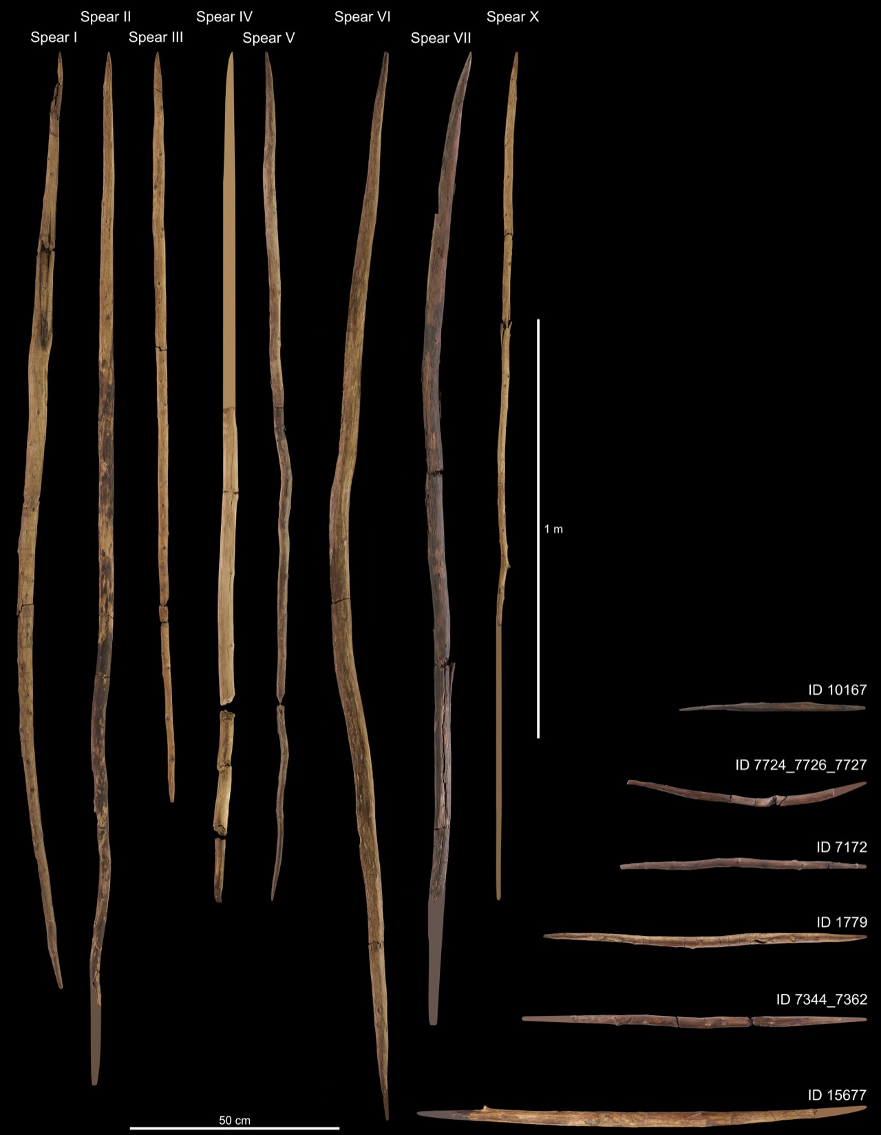 Les lances et bâtons de jet en bois de Schöningen