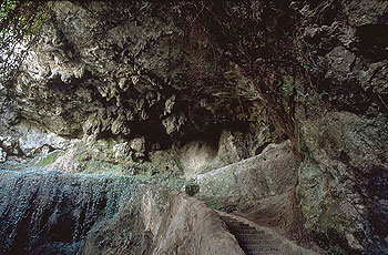 Entrée de la grotte d'El Castillo, Cantabrie