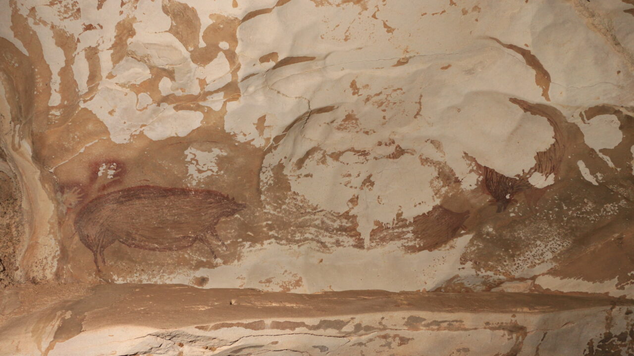 Peinture d'un cochon verruqueux, grotte de Leang Tedongnge (Sulawesi)
