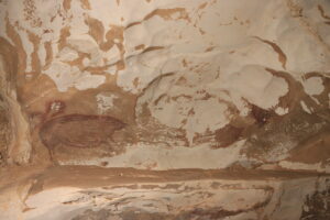 Peinture d'un cochon verruqueux, grotte de Leang Tedongnge (Sulawesi)