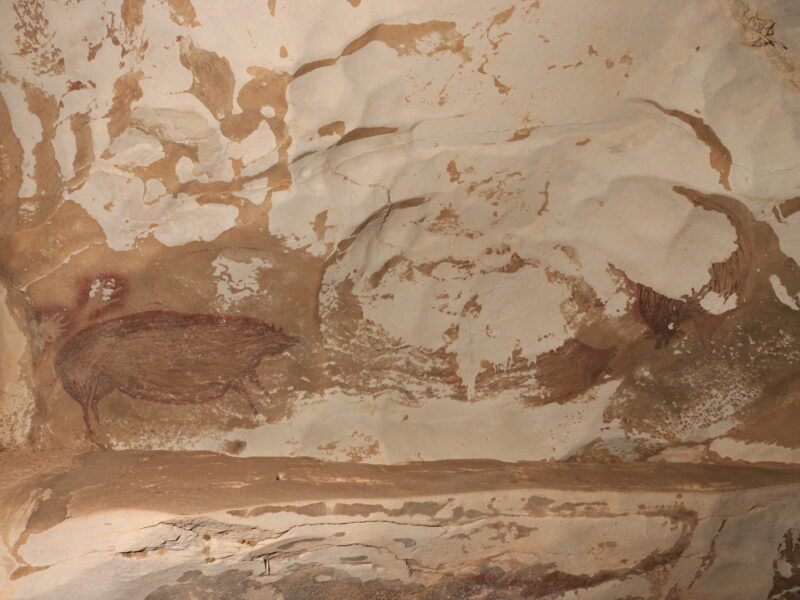 Peinture d'un cochon verruqueux, grotte de Leang Tedongnge (Sulawesi)