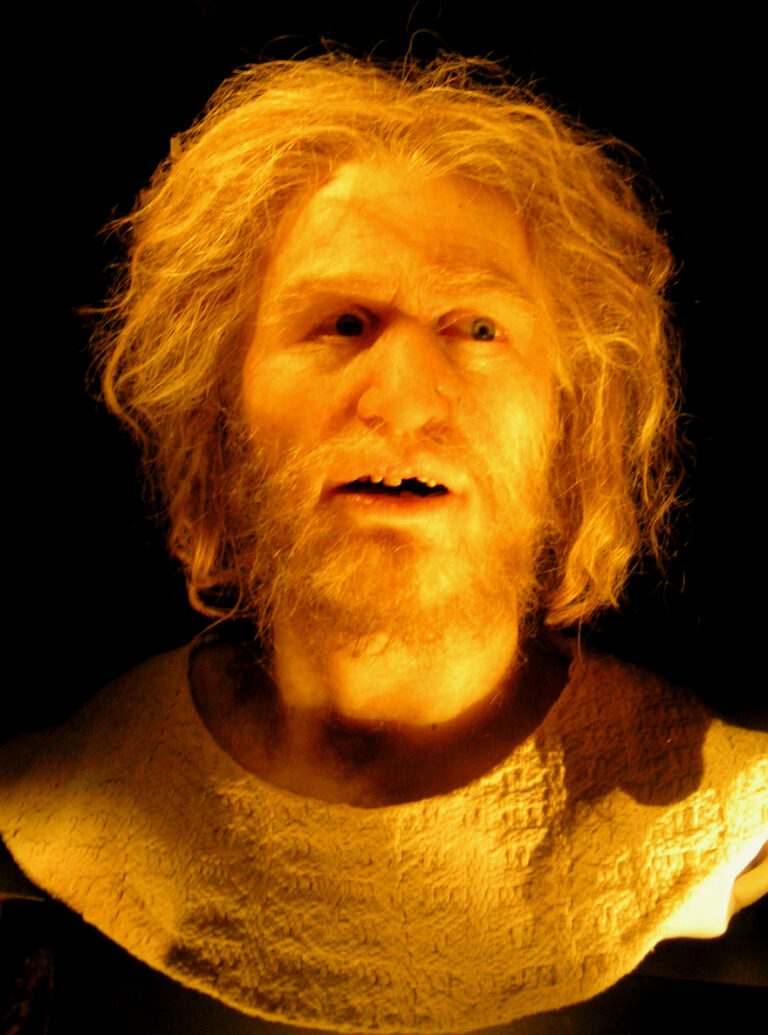 Reconstitution hyperréaliste d'un visage préhistorique par Élisabeth Daynès