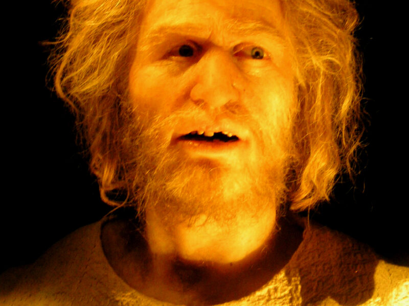 Reconstitution hyperréaliste d'un visage préhistorique par Élisabeth Daynès