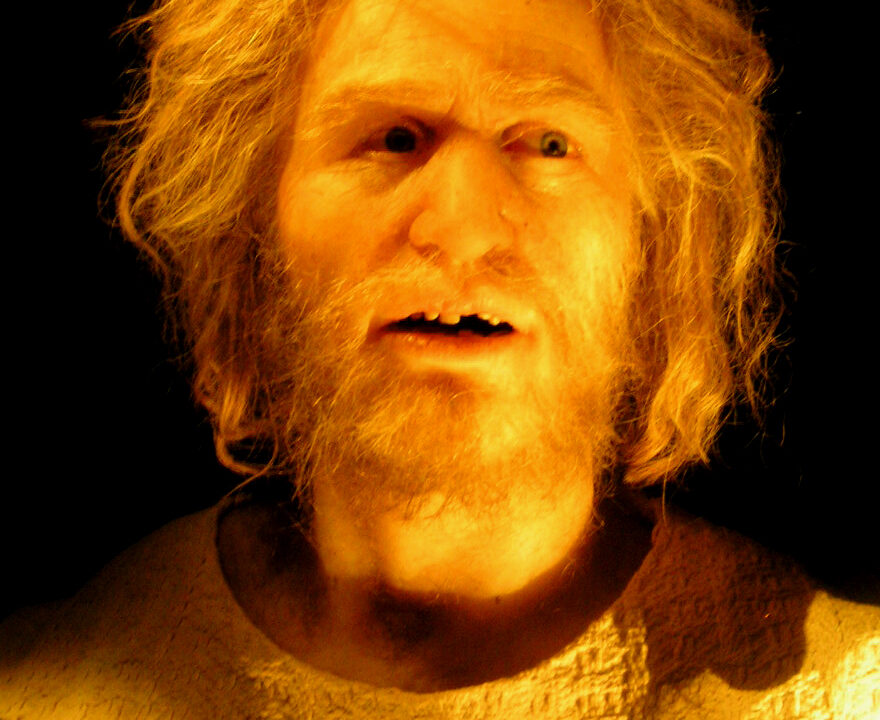 Reconstitution hyperréaliste d'un visage préhistorique par Élisabeth Daynès