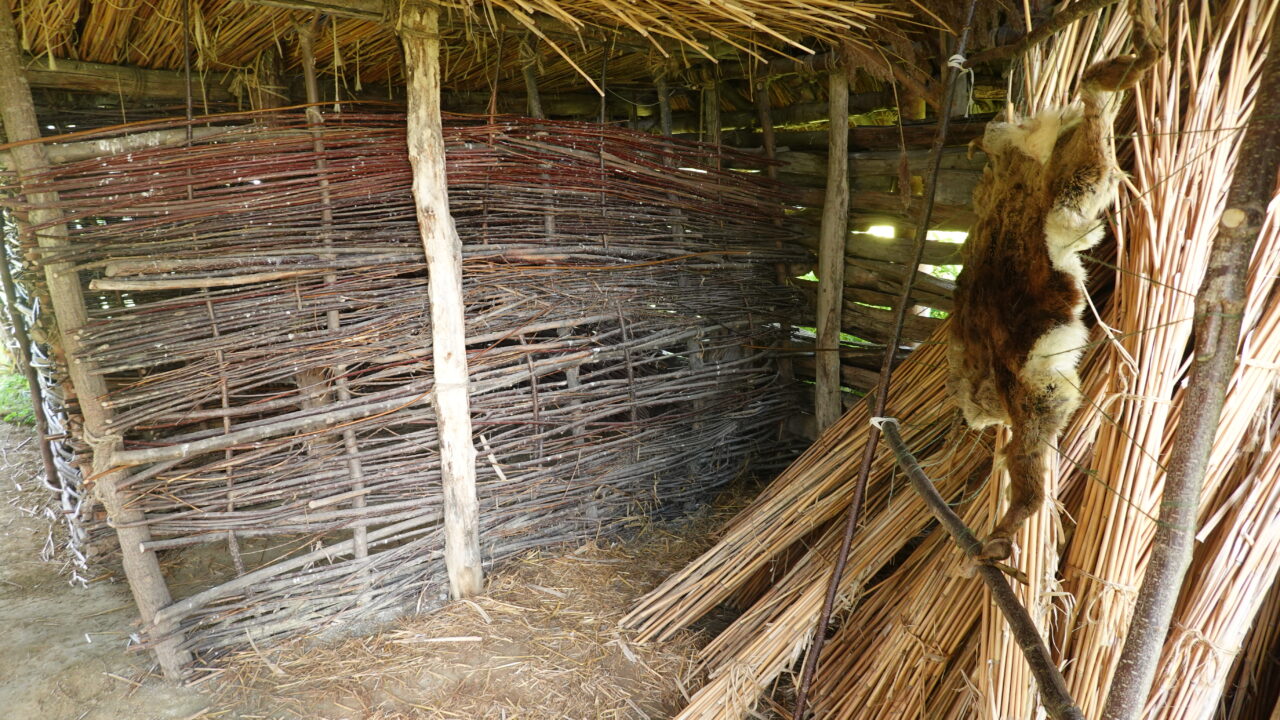 Habitat préhistorique reconstitué