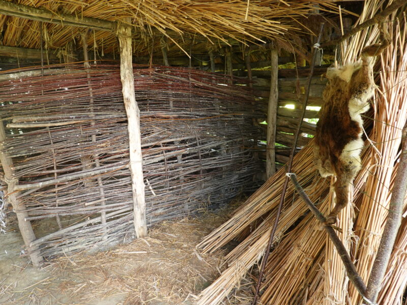 Habitat préhistorique reconstitué