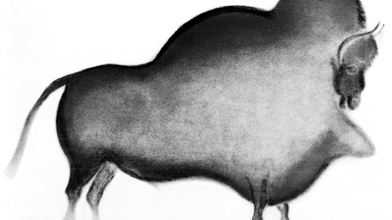 Grand bison polychrome de la grotte de Font-de-Gaume, relevé de 1910.
