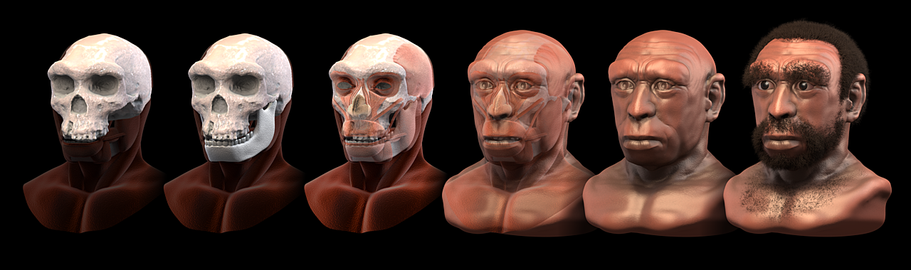 Reconstitution faciale d’un hominine archaïque du Pléistocène moyen (Homo heidelbergensis).