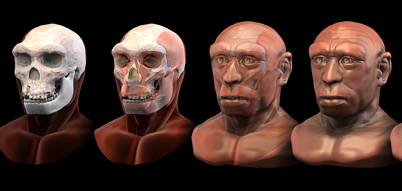 Reconstitution faciale d’un hominine archaïque du Pléistocène moyen (Homo heidelbergensis).