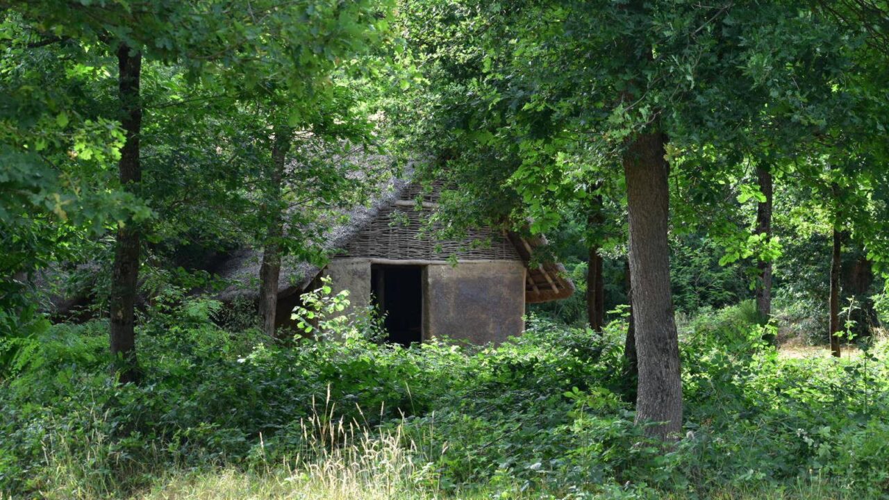 Habitat néolithique reconstitué en lisière de forêt
