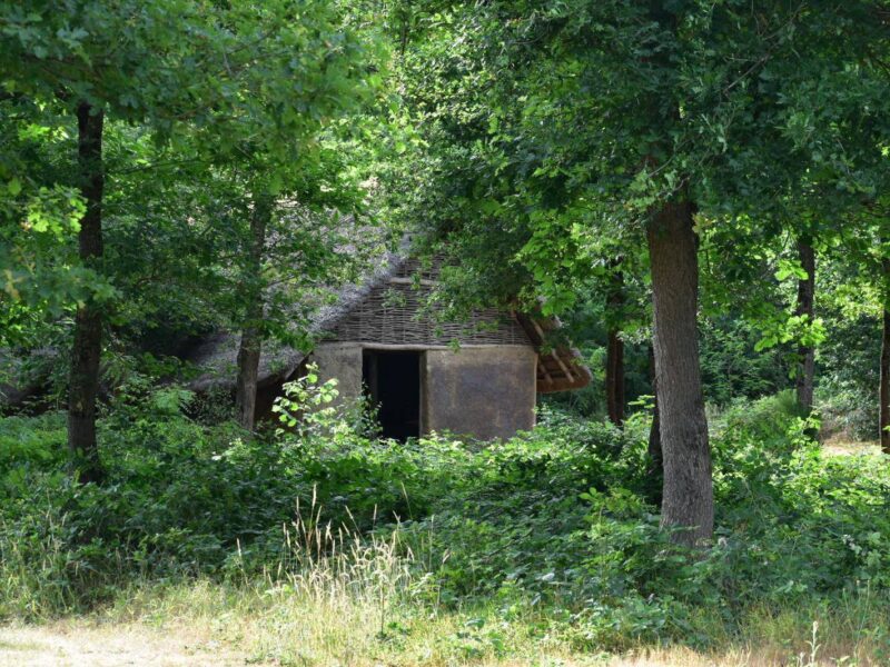 Habitat néolithique reconstitué en lisière de forêt