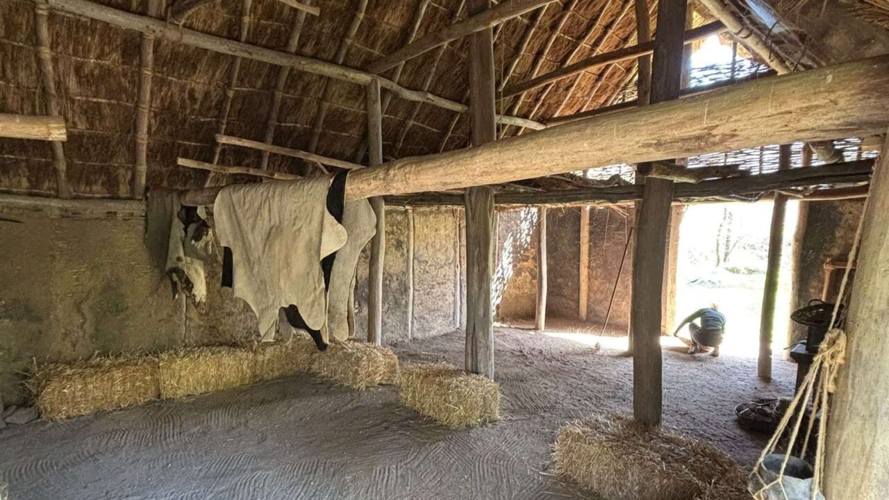 Intérieur d’une maison reconstituée : charpente, torchis et peaux