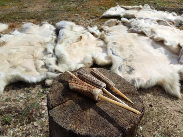 Peaux tannées et outils en bois de cerf