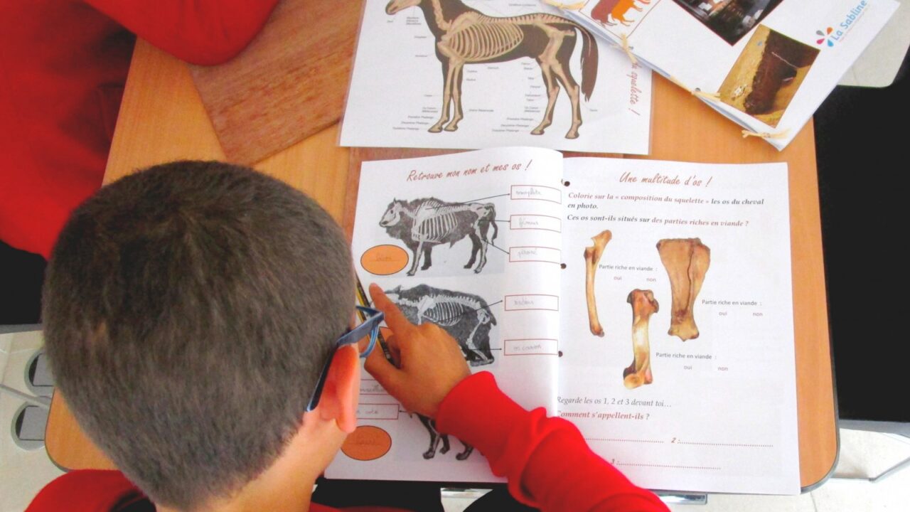 Atelier d'archéozoologie — La Sabline