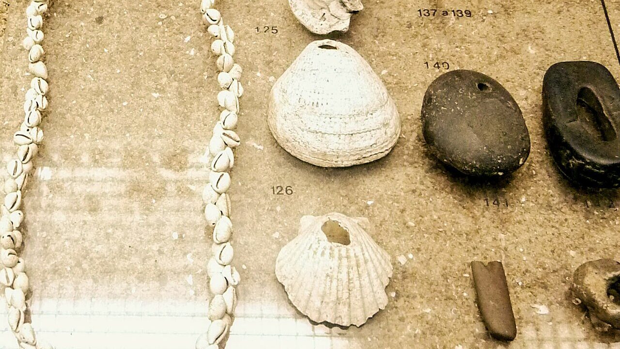 Colliers et pendentifs en coquillages de Téviec (parure préhistorique)