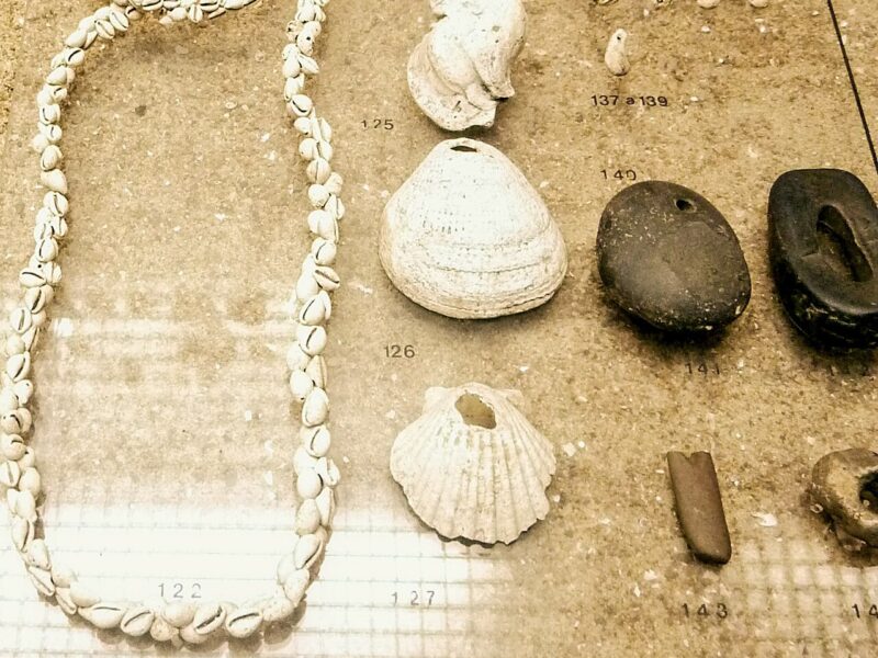 Colliers et pendentifs en coquillages de Téviec (parure préhistorique)