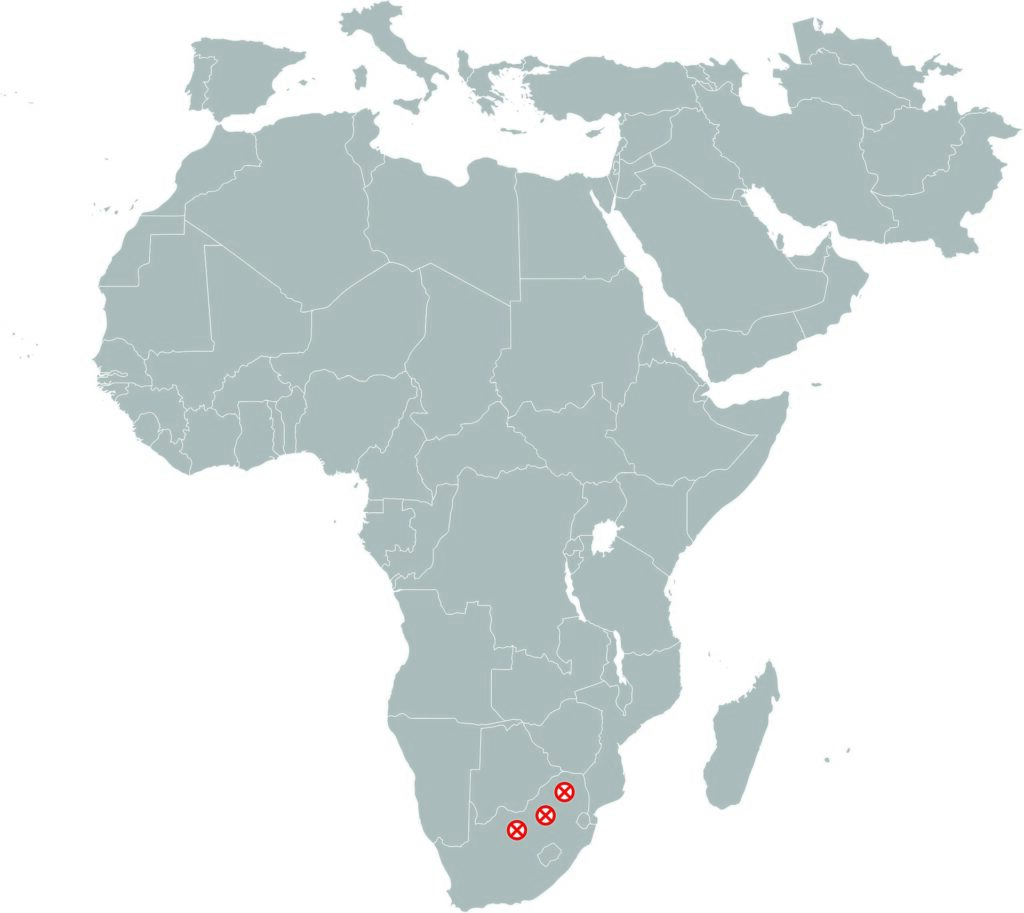 Carte de l’Afrique situant les sites d’Australopithecus africanus