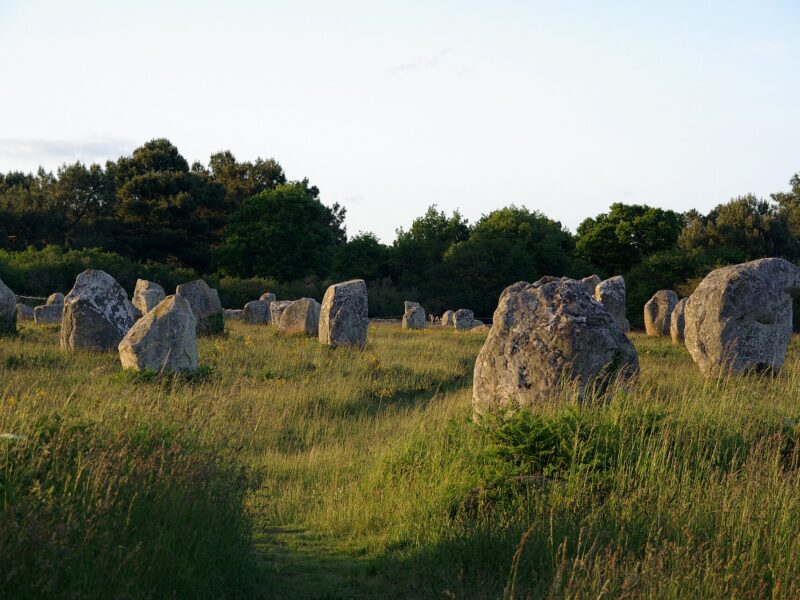 Un chemin herbeux traversant les alignements de Carnac