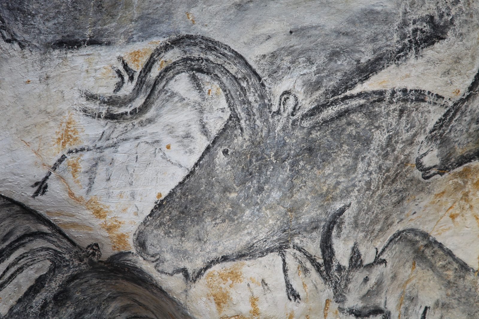 Aurochs du panneau des chevaux