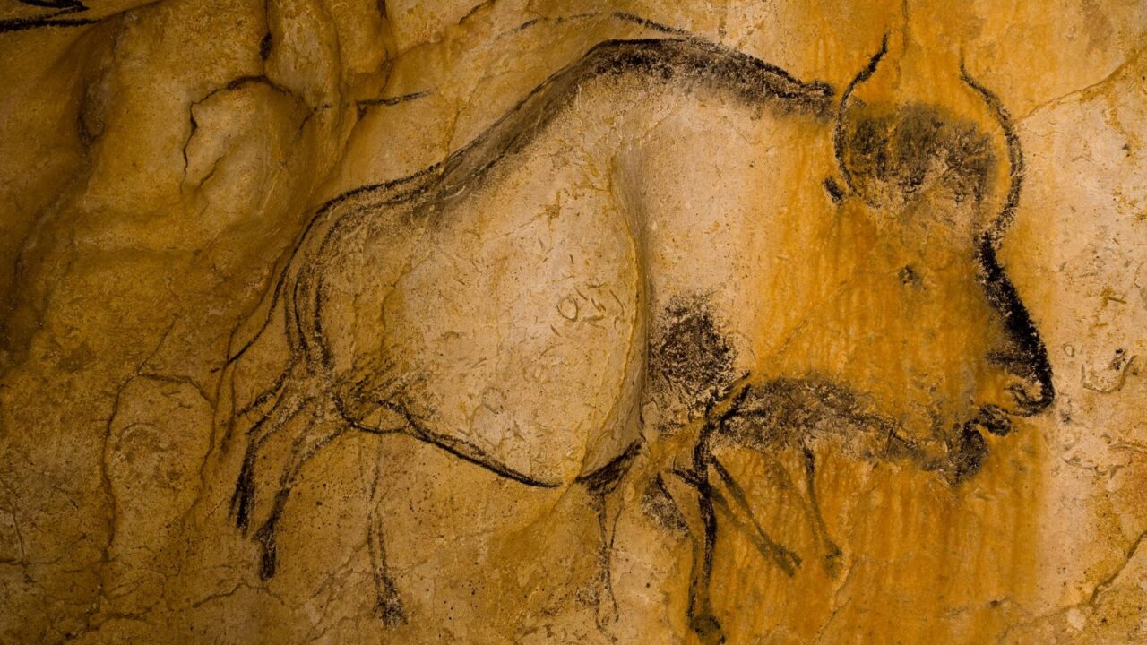 Bison en mouvement