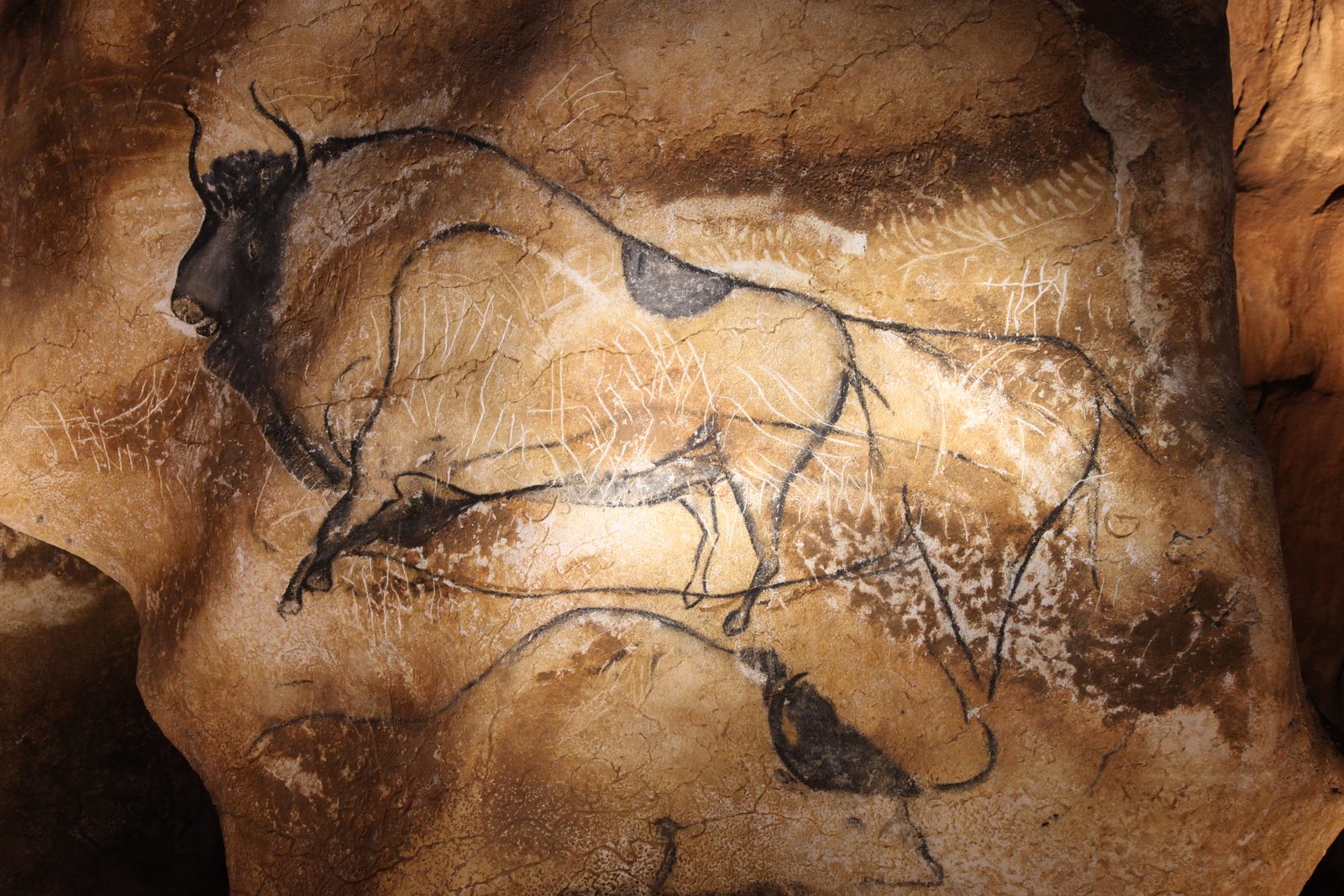 Bison du panneau des lions