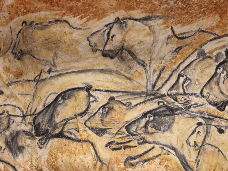 Le panneau des lions de la grotte Chauvet, restitué à la Grotte Chauvet 2 : une harde de lions des cavernes dessinée au fusain