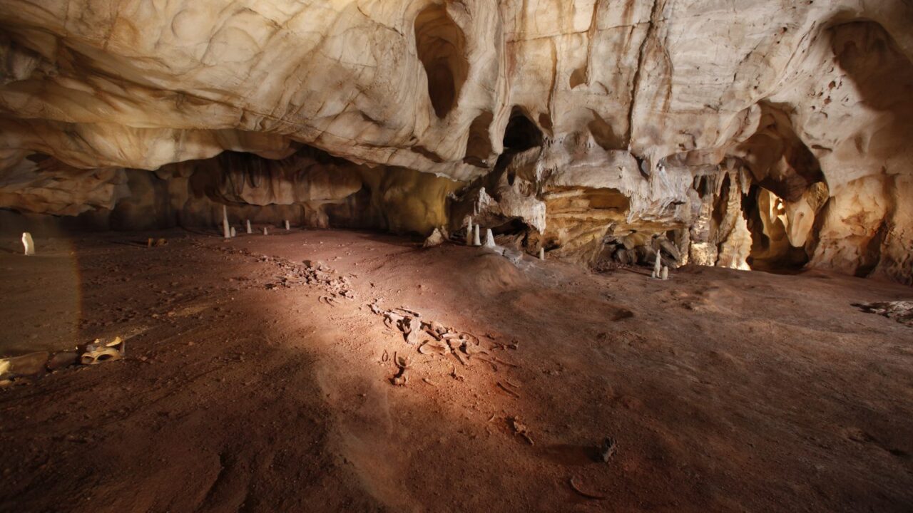 La salle des bauges