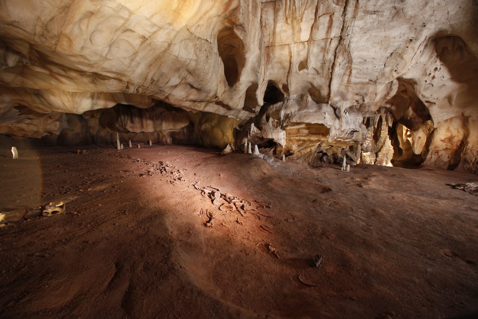 La salle des bauges
