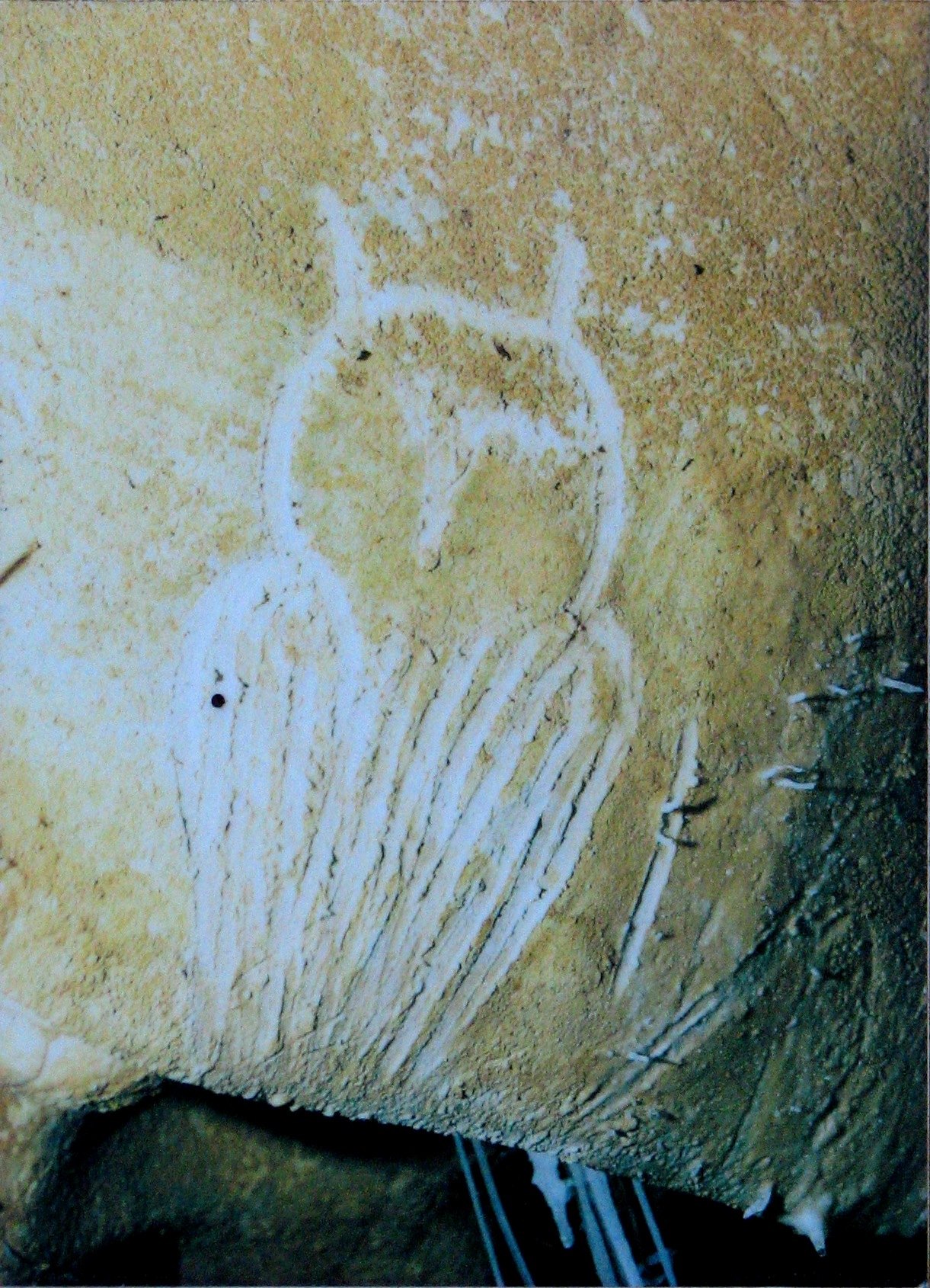 Gravure de hibou (fac-similé)