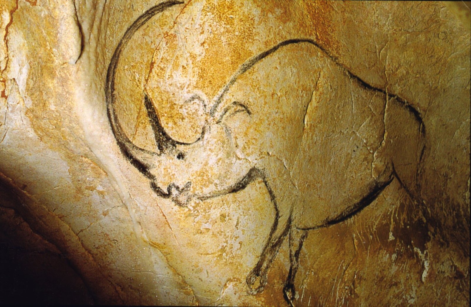 Rhinocéros laineux (fac-similé)