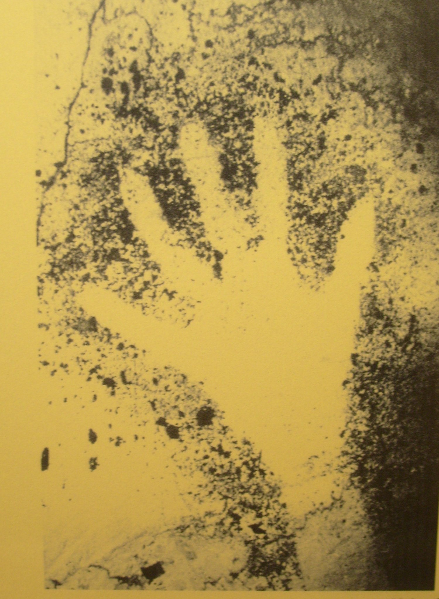 Main négative (grotte Cosquer)