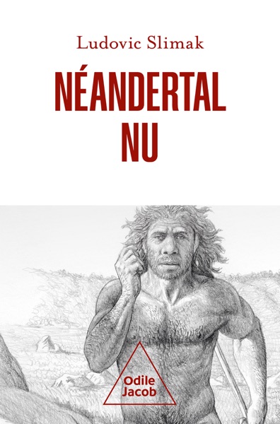 Couverture du livre « Le Troisième Néandertal »