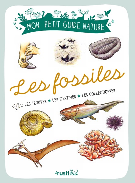 Couverture du livre « Les fossiles »