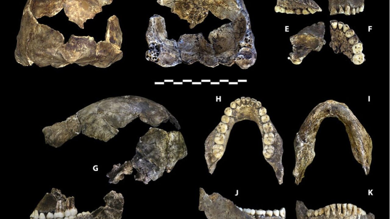 Homo naledi enterrait-il ses morts ?