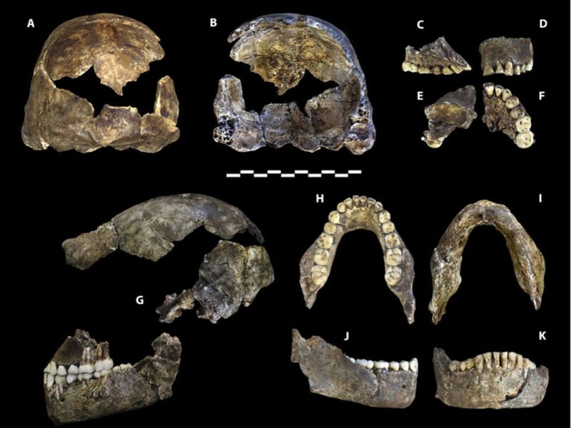 Homo naledi enterrait-il ses morts ?