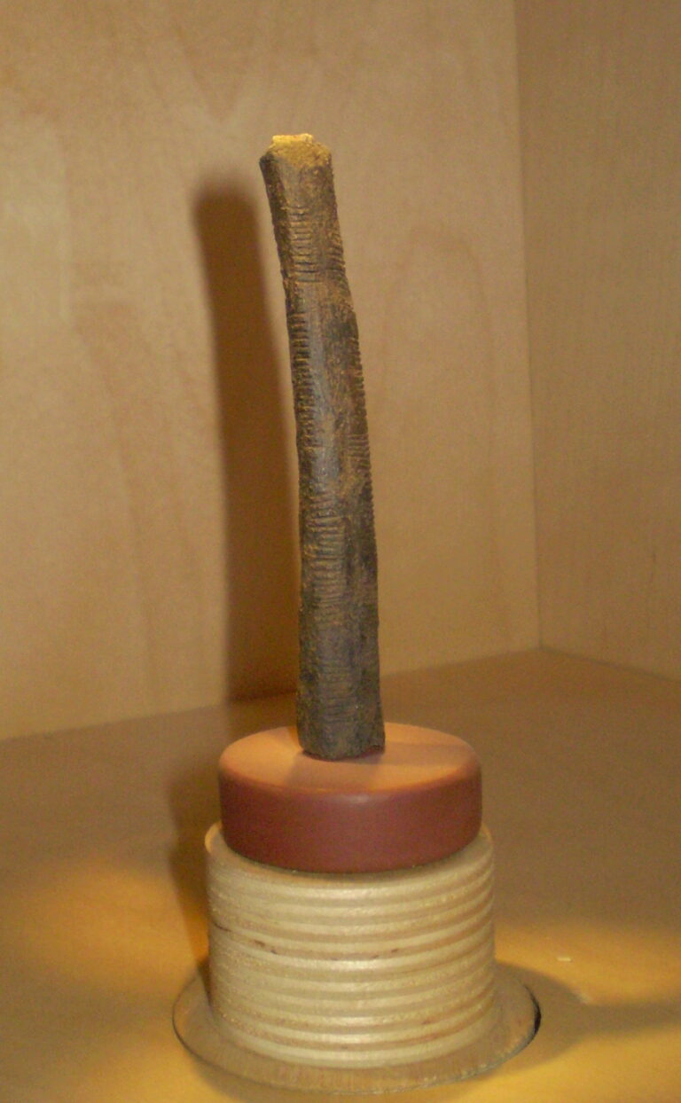 L'os d'Ishango (~20 000 ans), couvert d'encoches groupées (IRSNB, Bruxelles).