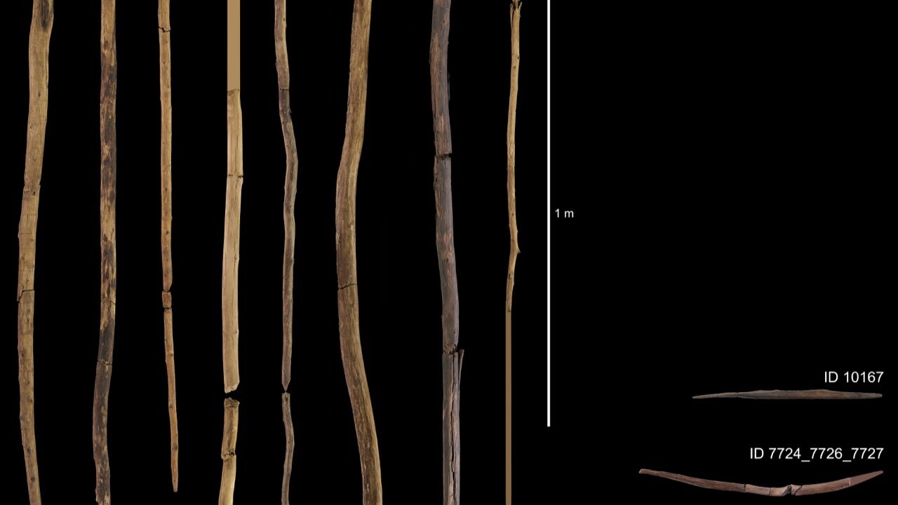 Les plus vieilles armes du monde rajeunies de 100 000 ans