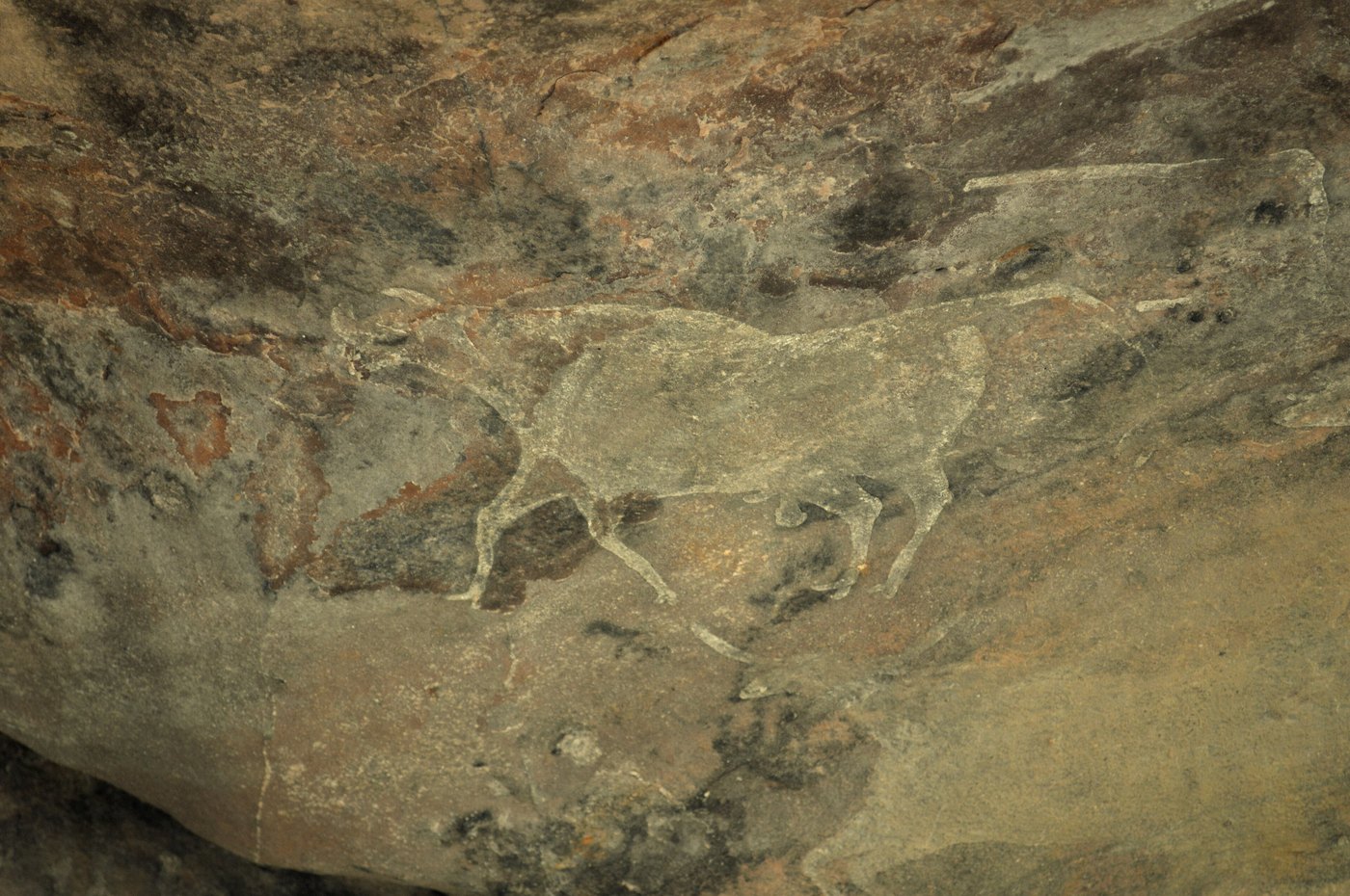 Abris de Bhimbetka